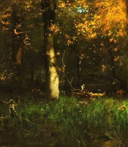 The Home of the Heron